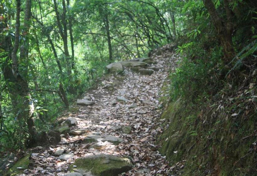 Resort Silent Trail Jilling Sanctuary 9