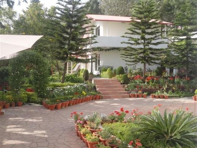 Hotel The Pine Crest 6