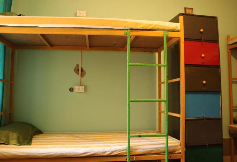 Hostel Mcleod Backpackers 3