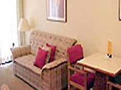 Hotel Parthenon Contemporaneo  | São Paulo | São Paulo | Brasil 3