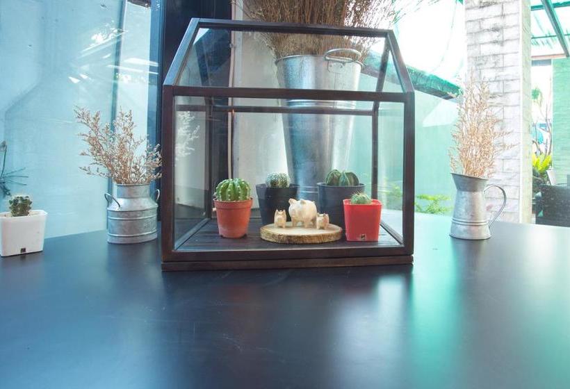 Hotel P.u. Inn Resort 15