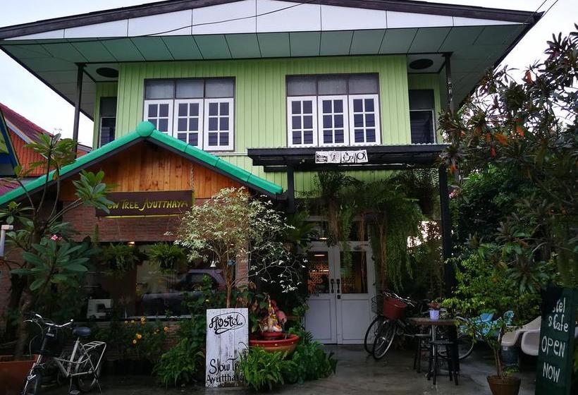 Hostel Slow Tree Ayutthaya 9
