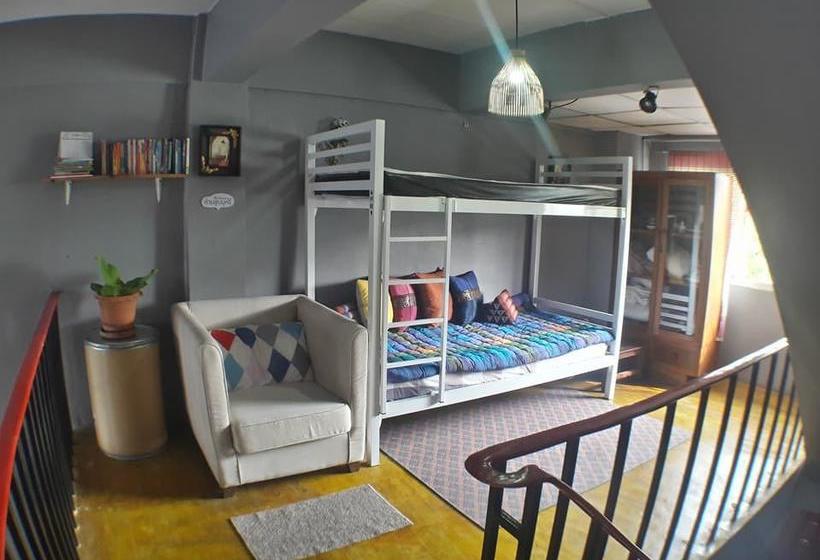 Hostel Muster House 11