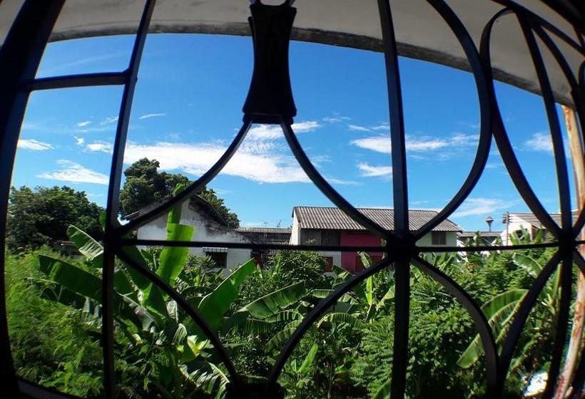 Hostel Muster House 12