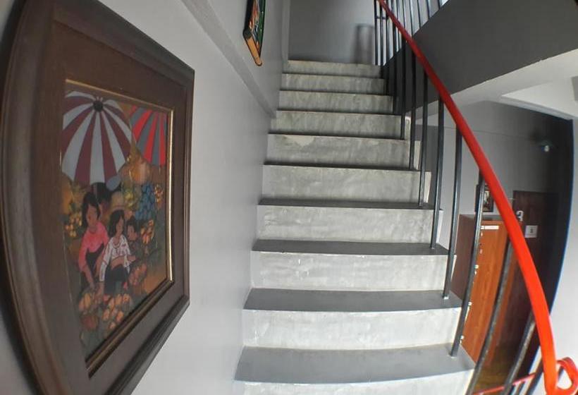 Hostel Muster House 14