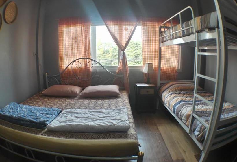 Hostel Muster House 16