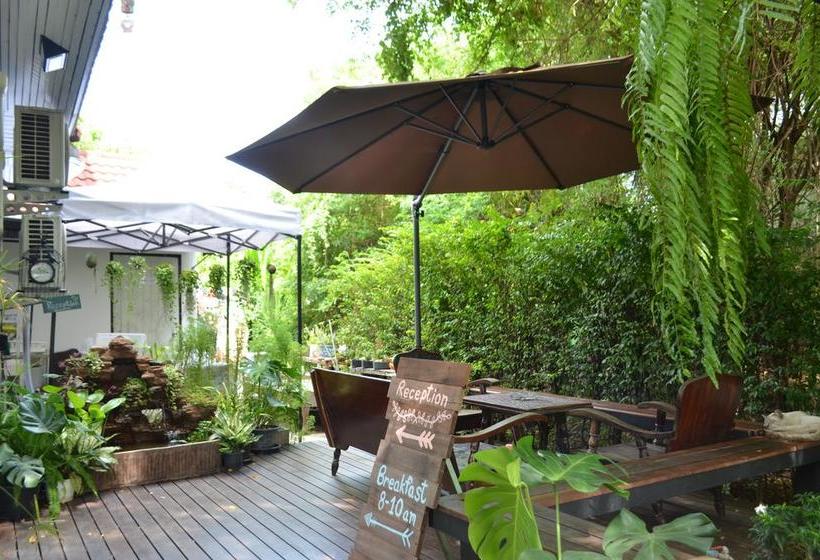 Early Bird Hostel Ayutthaya 1