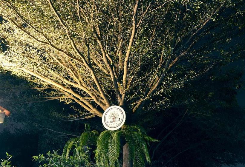 Early Bird Hostel Ayutthaya 16