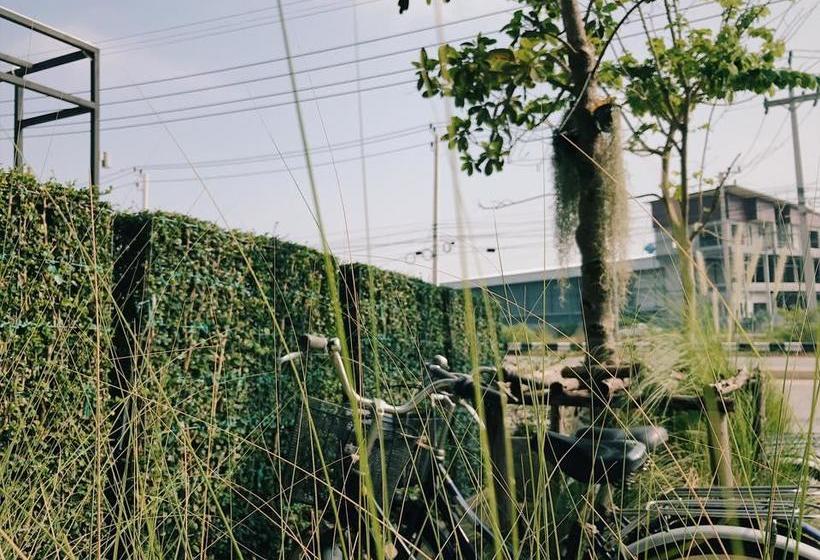 Yimwhan Hostel &cafe 7