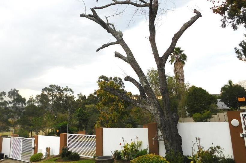 Bed and Breakfast 2 Oaks Guesthouse 13