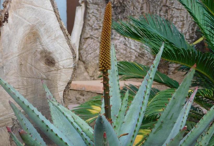 Bed and Breakfast 2 Oaks Guesthouse 19