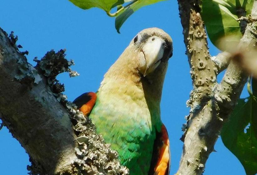 Bed and Breakfast 2 Oaks Guesthouse 20