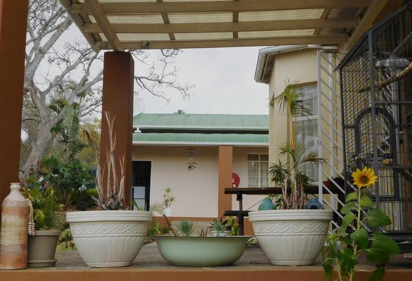 Bed and Breakfast 2 Oaks Guesthouse 5