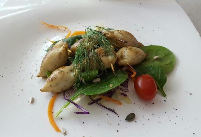 Hotel Seasons Find Guest Lodge 13