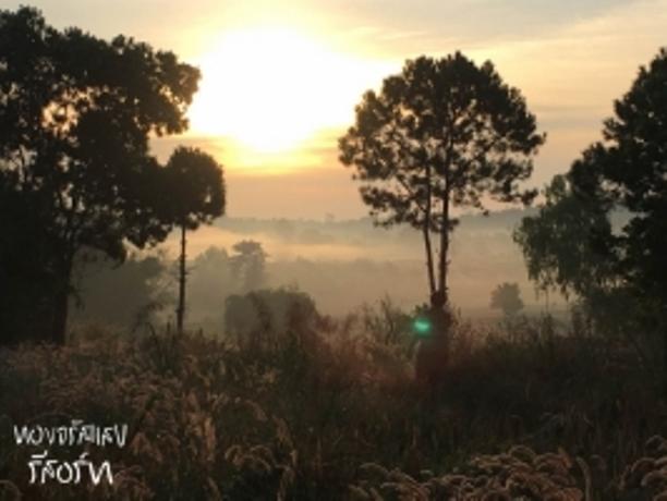 Thong Jarussaeng Resort 6