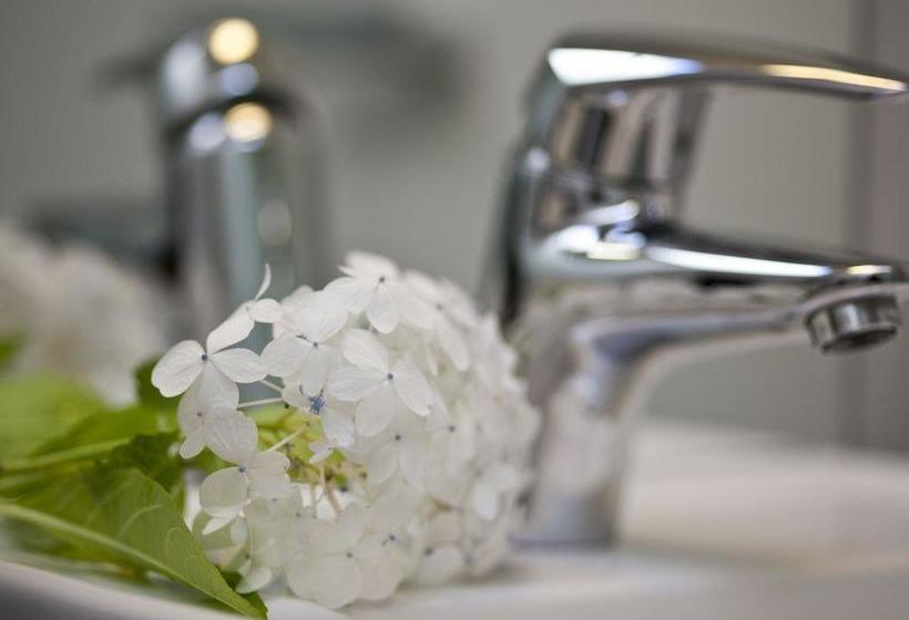 Bed and Breakfast Pitches Store 12