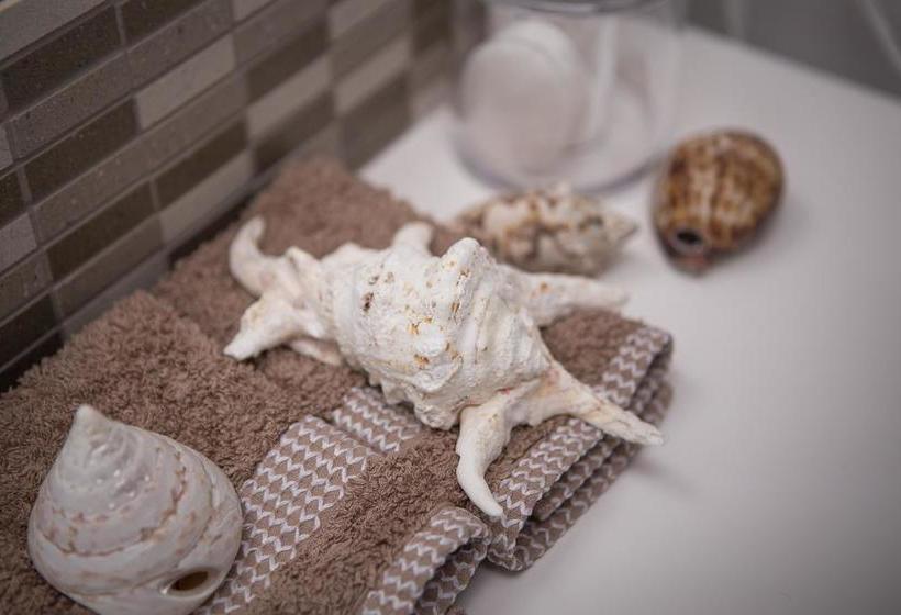 Bed and Breakfast Montagu House 6