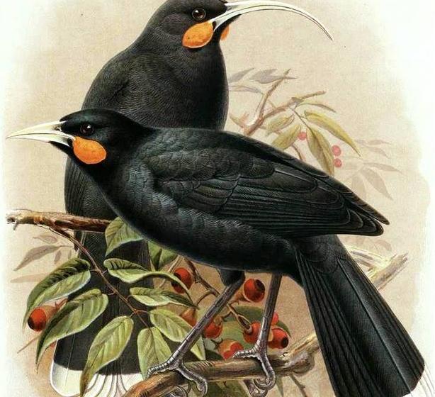 Bed and Breakfast Serenity Lodge 17