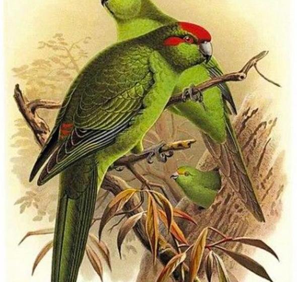 Bed and Breakfast Serenity Lodge 18