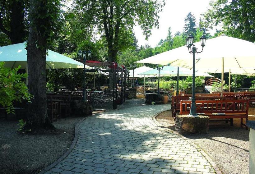 Hôtel Gasthof Schönau 3