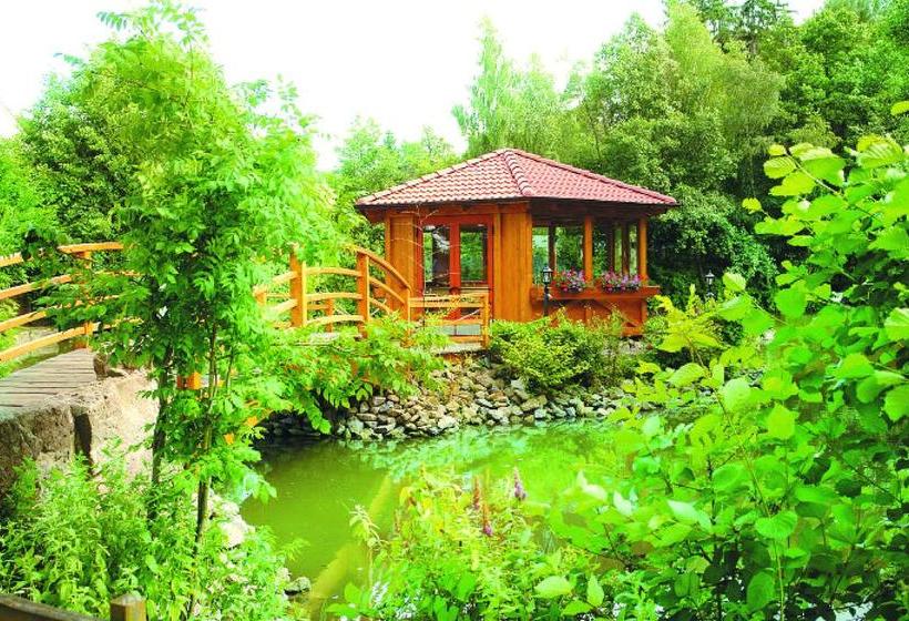 Hôtel Gasthof Schönau 5