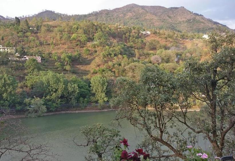 Bed and Breakfast The Woods 10