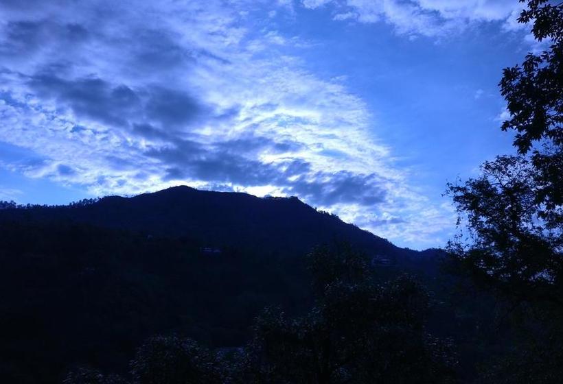 Bed and Breakfast The Woods 11