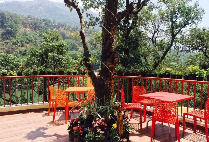 Bed and Breakfast The Woods 13