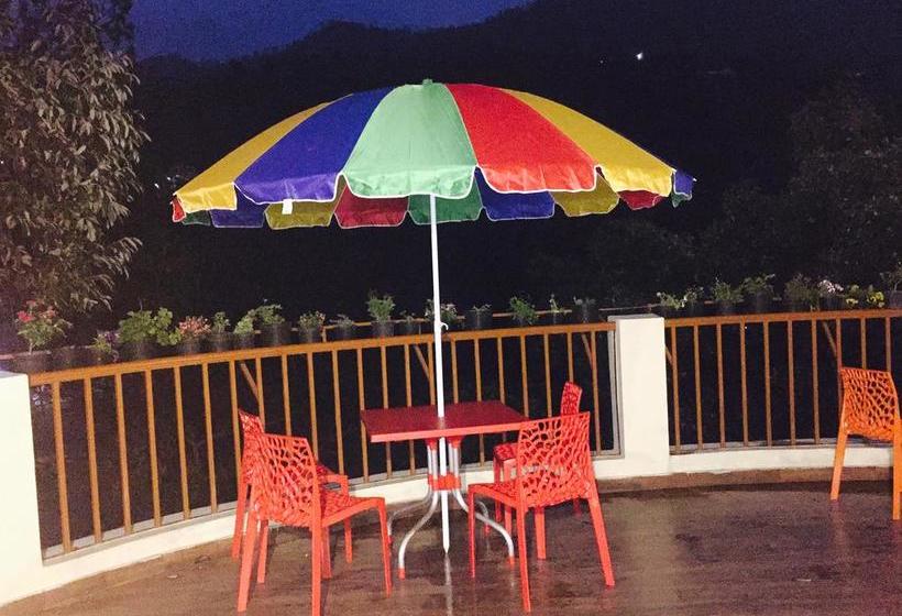 Bed and Breakfast The Woods 3