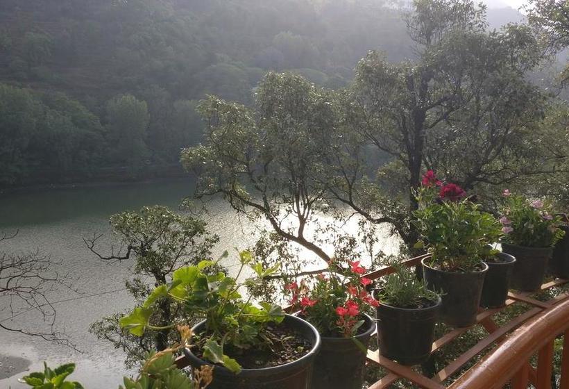 Bed and Breakfast The Woods 8