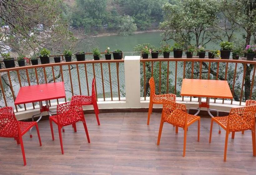 Bed and Breakfast The Woods 9