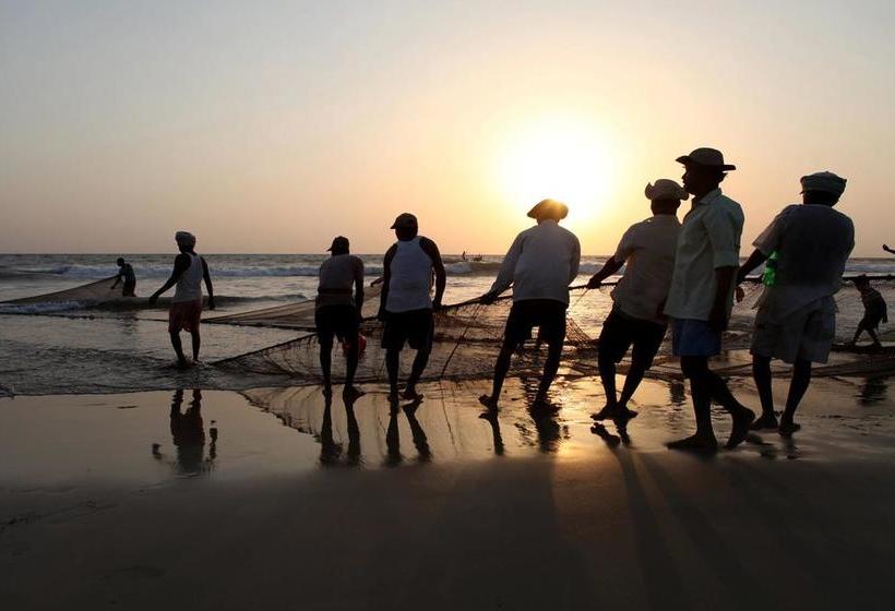 Matoshri Beach Resort 6