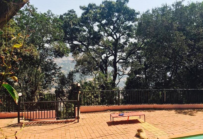 Sun N Shades Resort 10