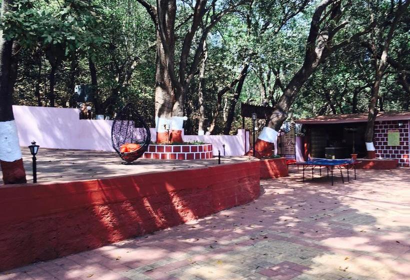 Sun N Shades Resort 12