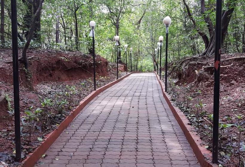 Sun N Shades Resort 4