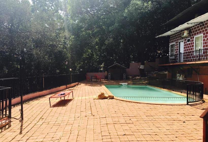 Sun N Shades Resort 8