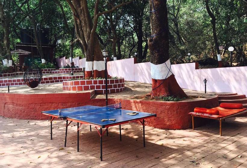 Sun N Shades Resort 9