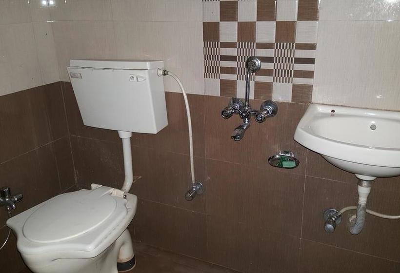 Hotel Roshan Palace 1