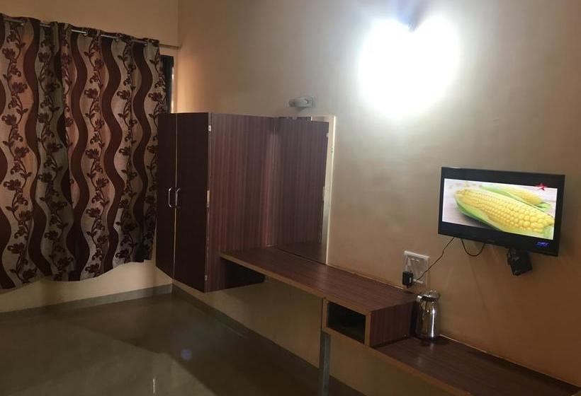 Hotel Roshan Palace 11