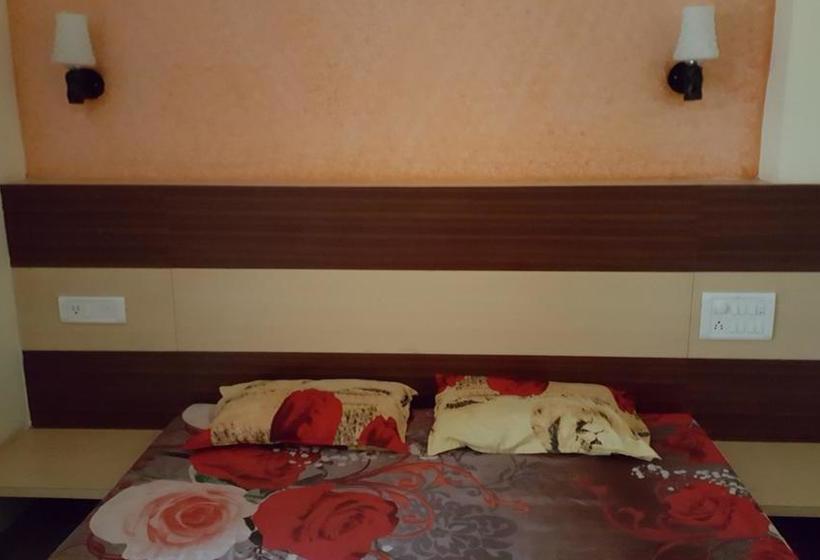 Hotel Roshan Palace 4