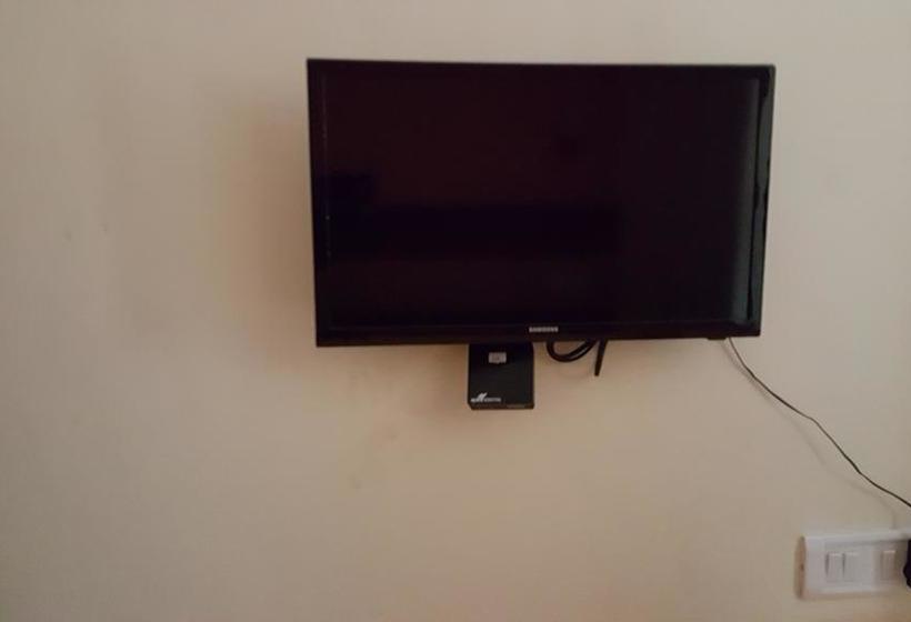 Hotel Roshan Palace 5