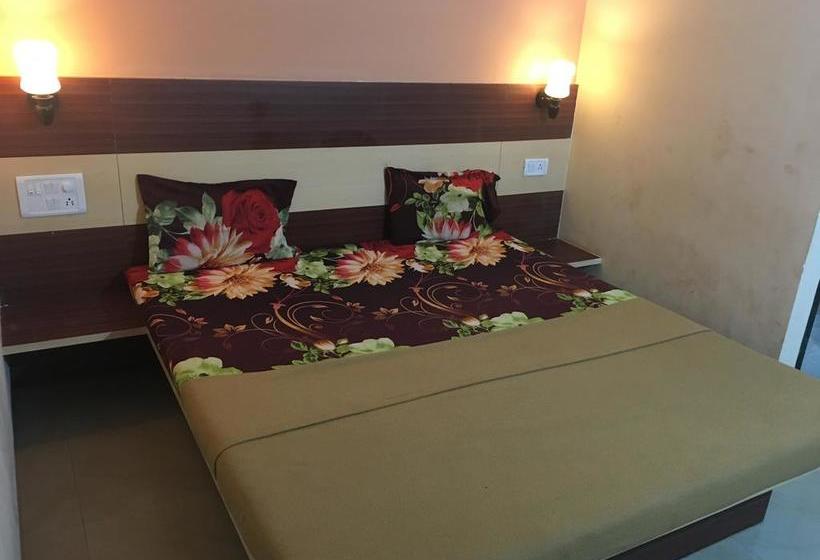 Hotel Roshan Palace 9