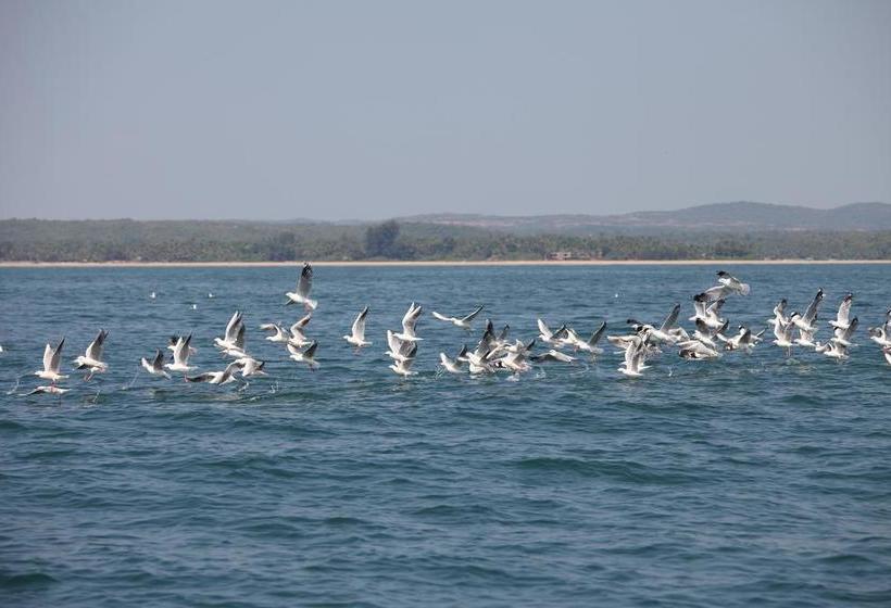 Hotel Ocean Bliss 13