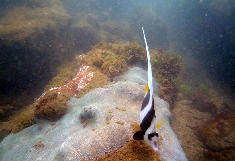 Hotel Ocean Bliss 15