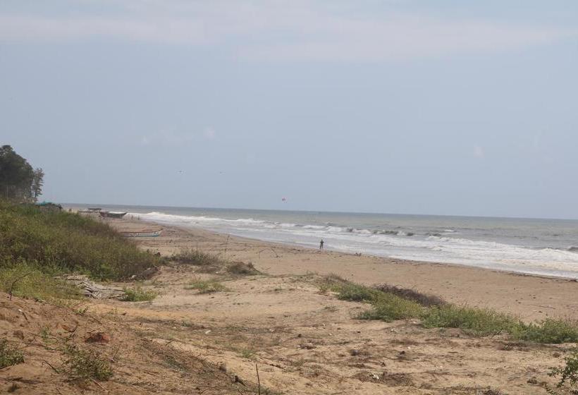 Sand N Shine Beach Resort 7