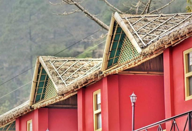 Resort The Wood Nest 11