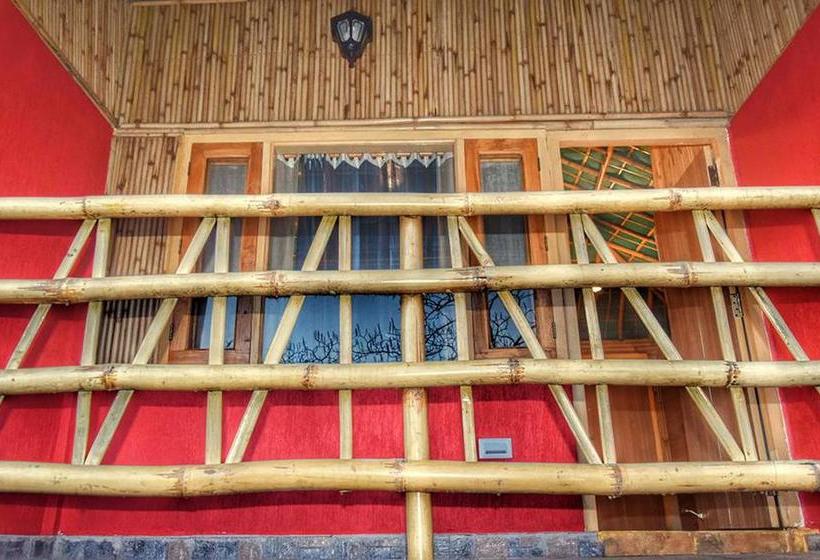 Resort The Wood Nest 5