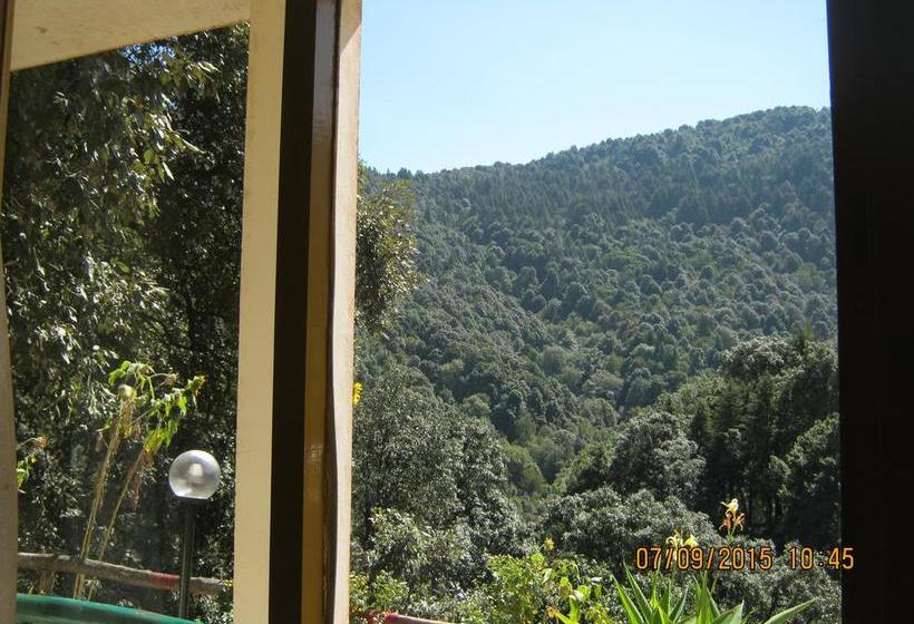 Janardan Resort Pangot Nainital 10