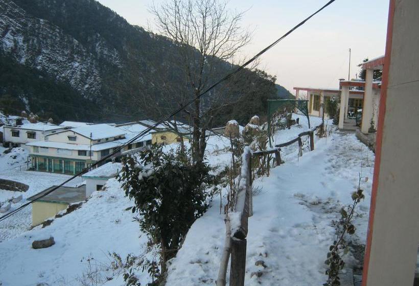 Janardan Resort Pangot Nainital 20