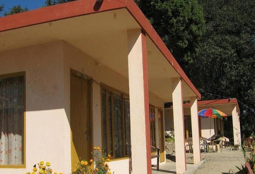 Janardan Resort Pangot Nainital 7